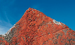 info7_fotografie.250x150.jpg